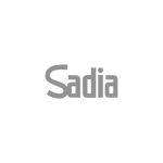 SADIA FRIGOBEEF